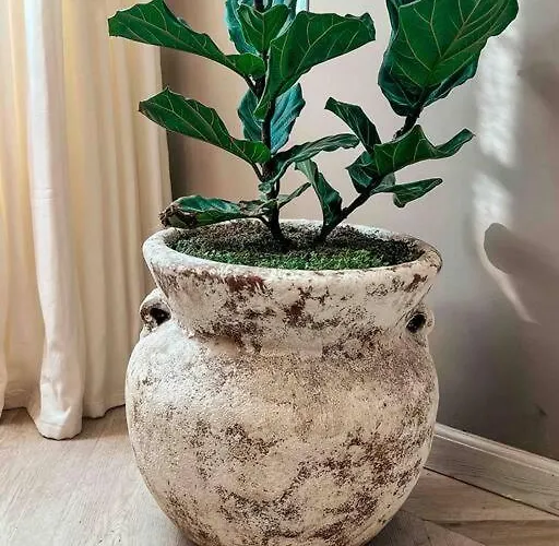 Apartamento Mexique *